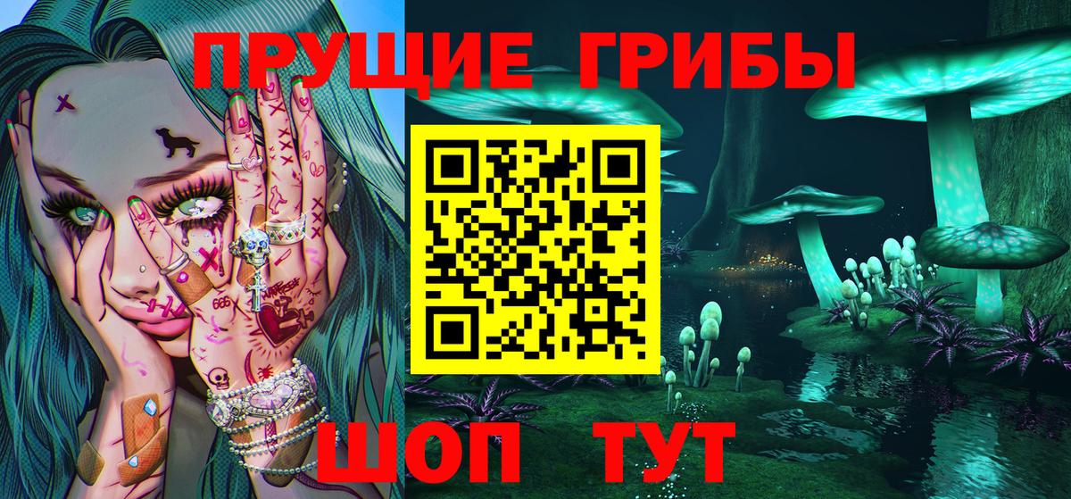 Псилоцибиновые грибы Psilocybe  Вход с VPN  Псилоцибиновые грибы Psilocybe  Тамбов 